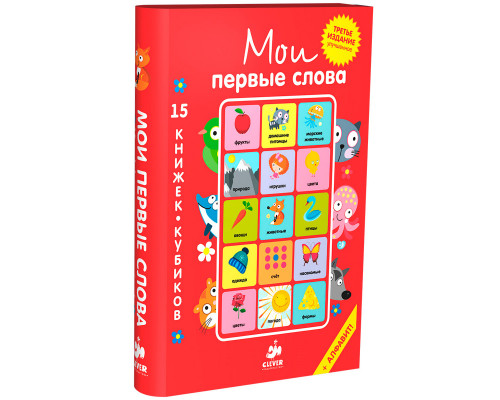 Clever 15 книжек-кубиков. Мои первые слова, русский язык.