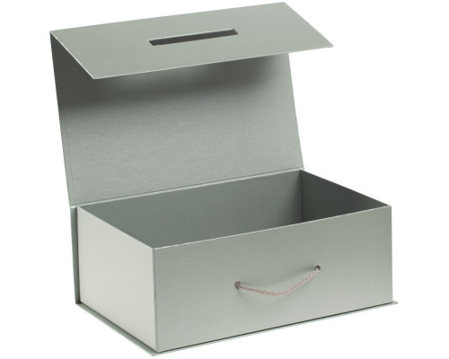 Коробка-бокс для хранения Case, серебристая